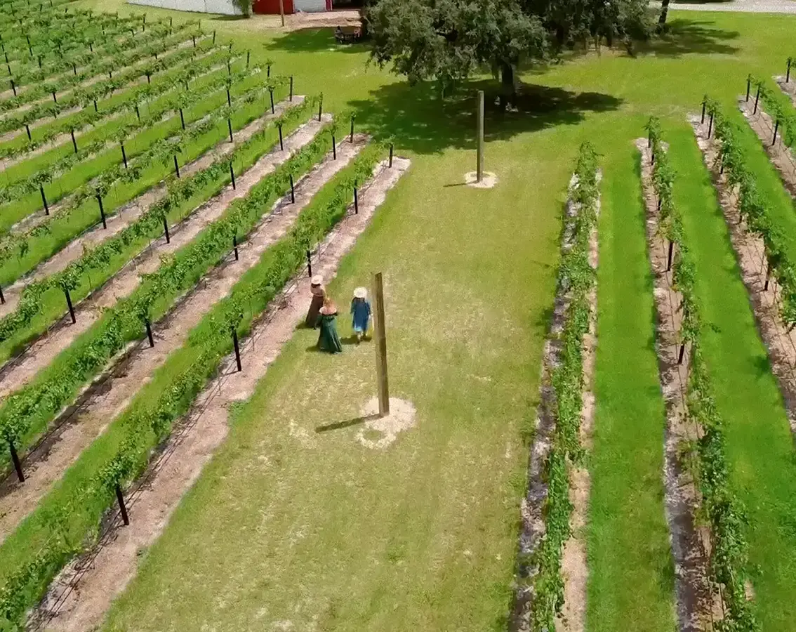 Feelgood Farms Website